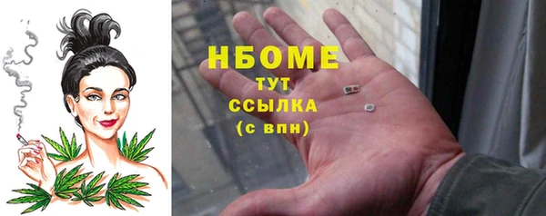 стаф Корсаков