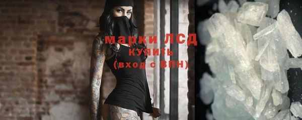 стаф Корсаков