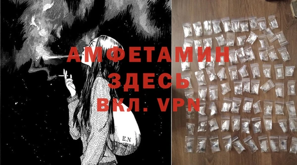 стаф Корсаков