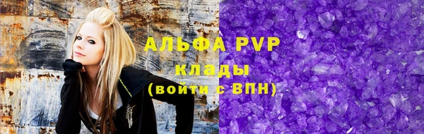 стаф Корсаков