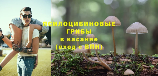 стаф Корсаков
