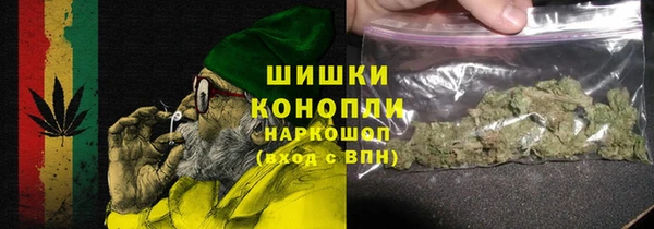 стаф Корсаков