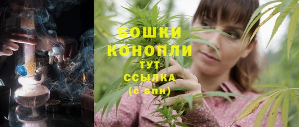 стаф Корсаков