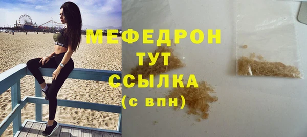 стаф Корсаков
