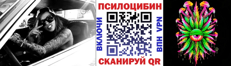 Галлюциногенные грибы прущие грибы Купить Камбарка